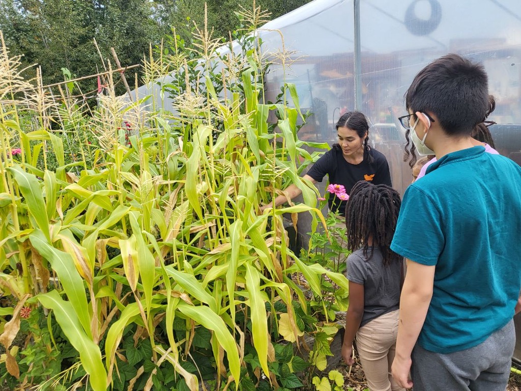 A woman showing a variety of plantings to a group of children in front of a greenhouse.